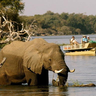 8 Day Unspoilt Zambia Wilderness