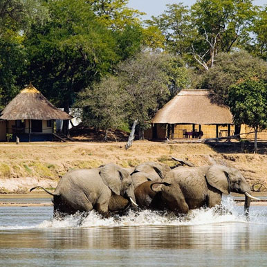 8 Day Unspoilt Zambia Wilderness