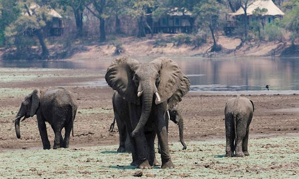 8 Day Unspoilt Zambia Wilderness