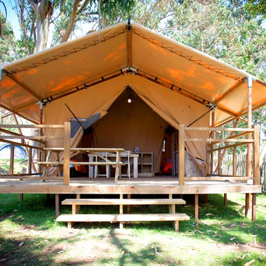 8 Days Africa House