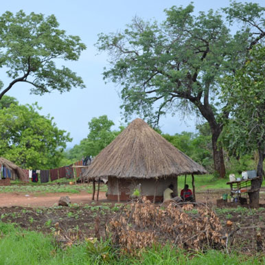 8 Days Africa House