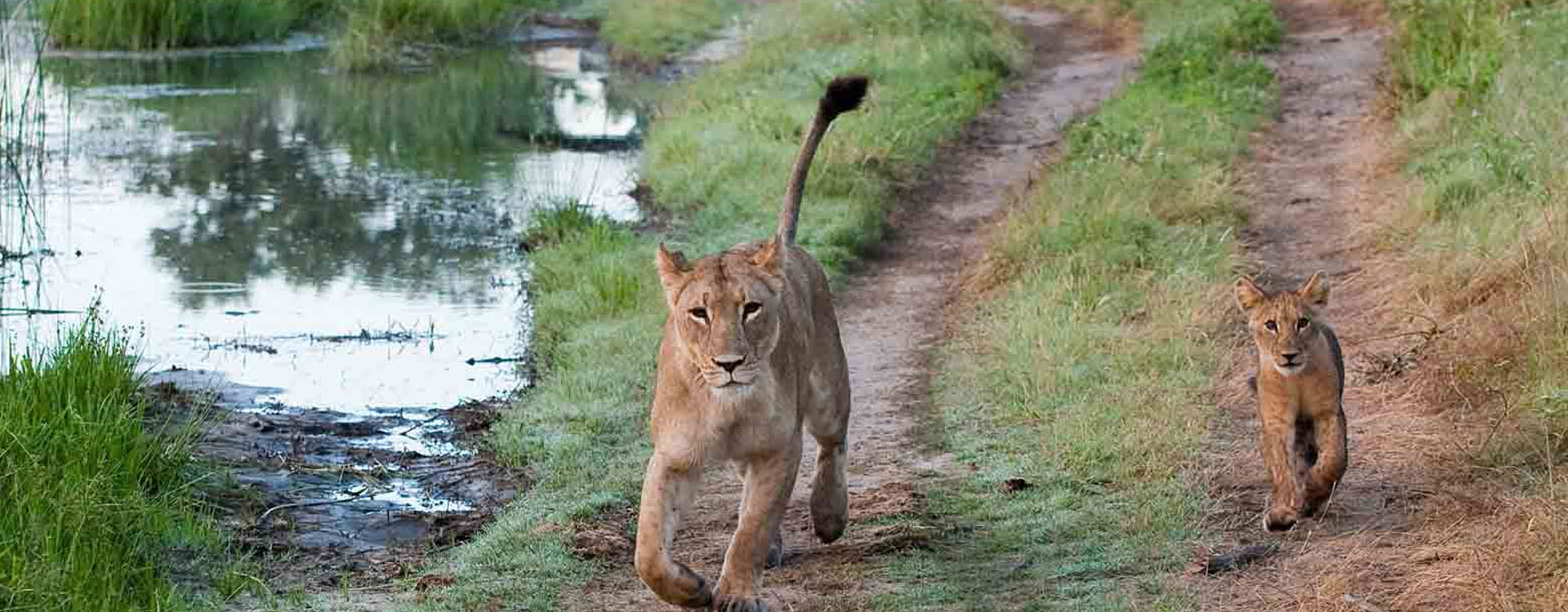8 Day Botswana Green Safari