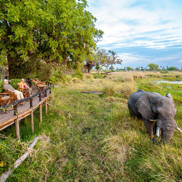 8 Day Botswana Green Safari