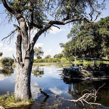 8 Day Chobe Savute & Moremi Botswana 4x4 Self-Drive Safari