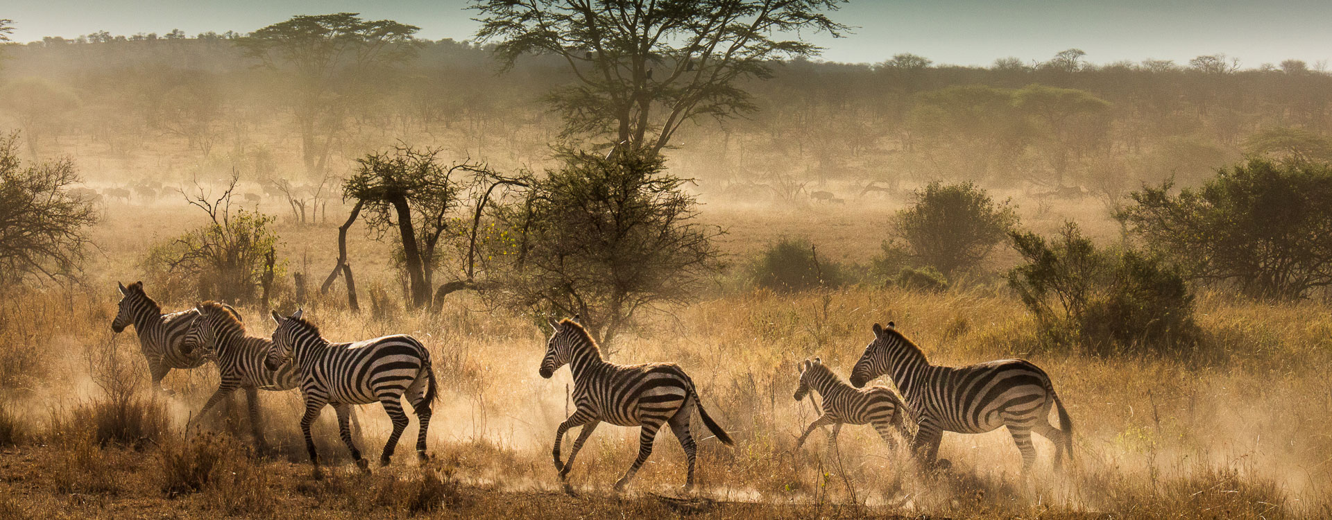 8 Days Diverse Wildlife and Scenery and Scenery Safari