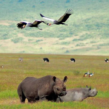 8 Days Diverse Wildlife and Scenery and Scenery Safari