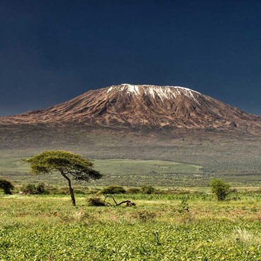 8 Days Follow the Great Migration
