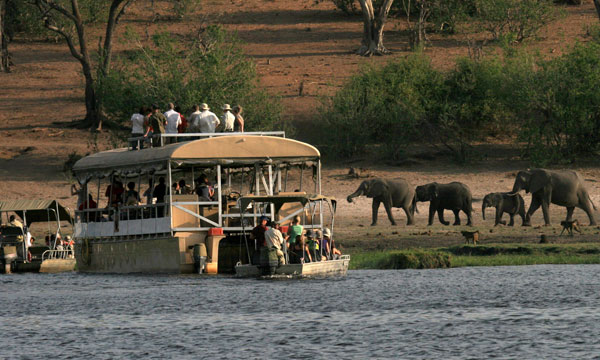 8 Days Guided Safari Tour Botswana