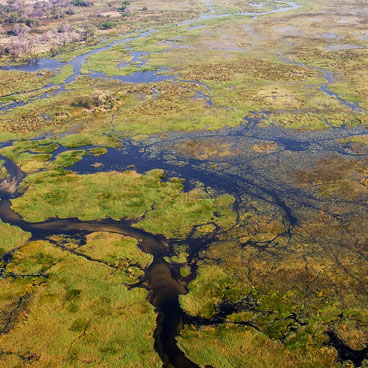 8 Days Guided Safari Tour Botswana