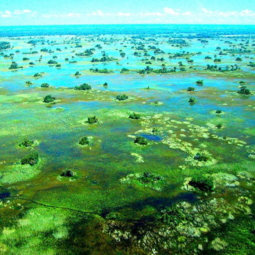 8 Days Guided Safari Tour Botswana
