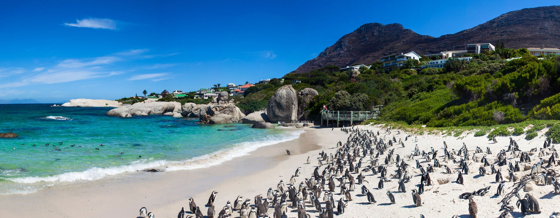 8 Days Highlights of Joburg, Kruger & Cape Town