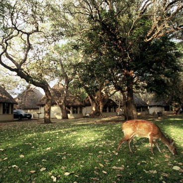 8 Days Highlights of Joburg, Kruger & Cape Town