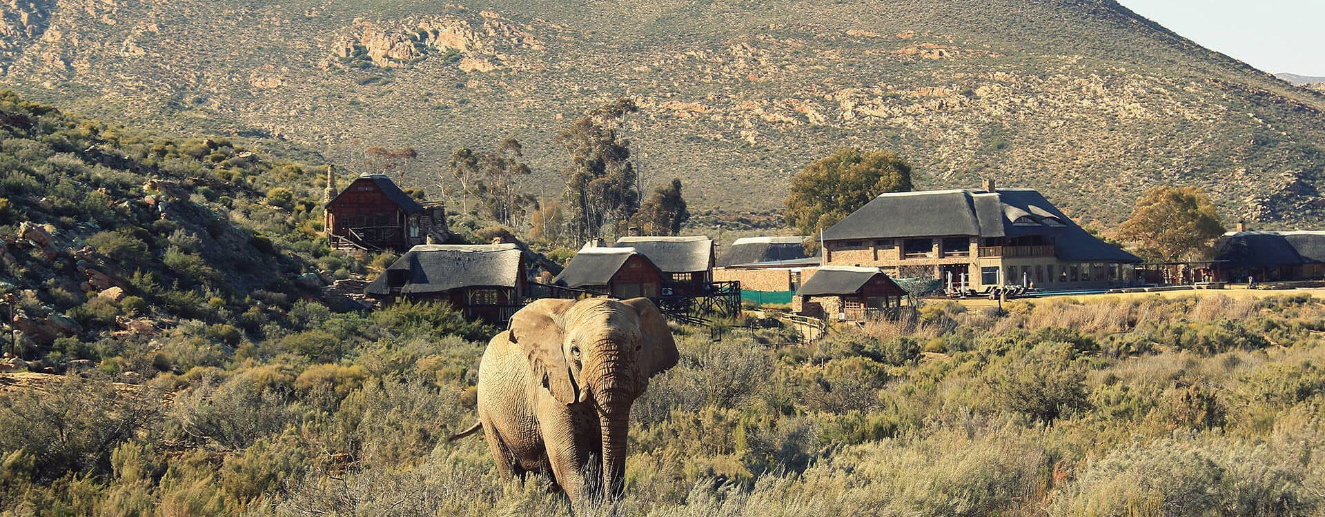 8 Days Luxury South African Safari