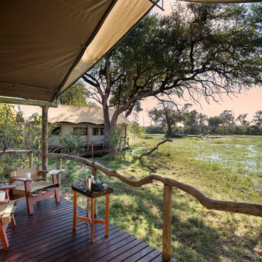 8 Day More For Less- Falcon Safari