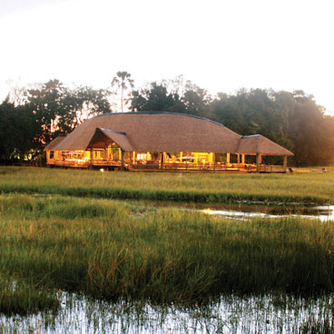 8 Day More For Less- Falcon Safari