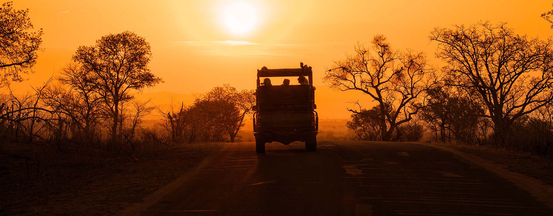 8 Days Road Safari Adventure