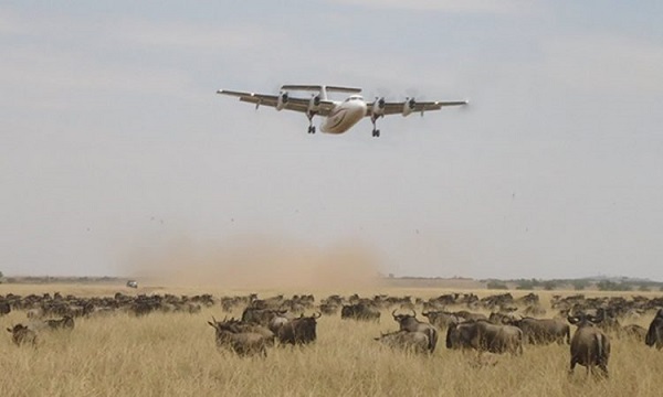 8 Day Road Safari Adventure
