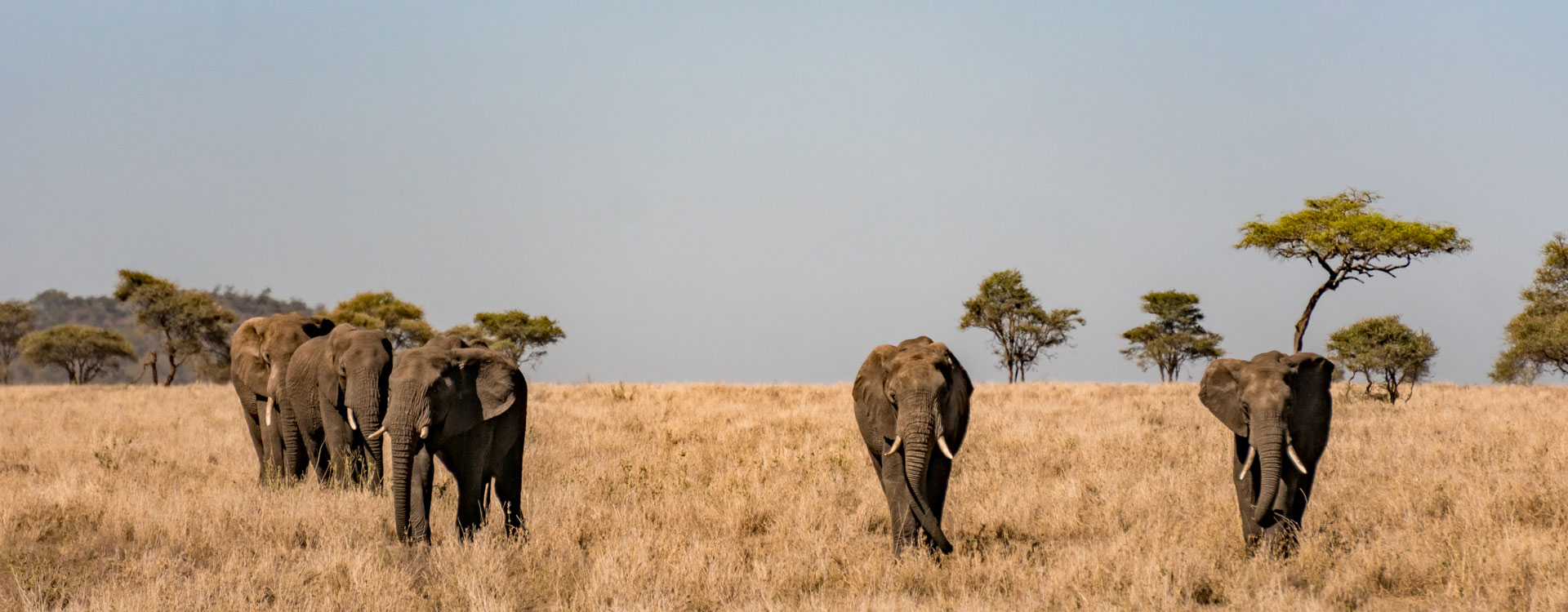 8 Days Royal Concorde Tour Kenya