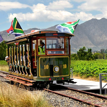 8 Days Safari Winelands and Beach Holiday