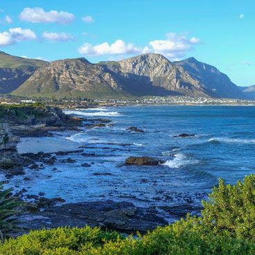 8 Days Safari Winelands and Beach Holiday
