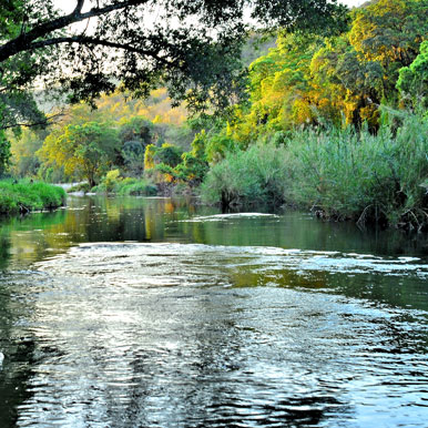 8 Days Self – Drive Nature Retreat
