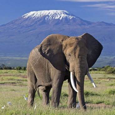 8 Days Royal Concorde Tour Kenya