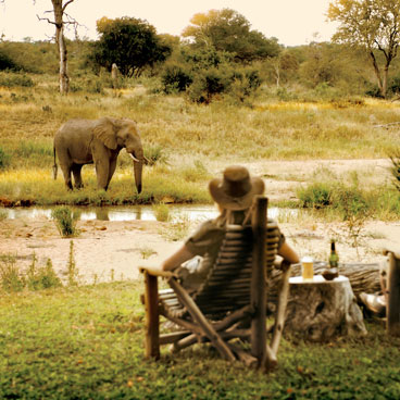 8 Days Vistas Safari Tour of SA