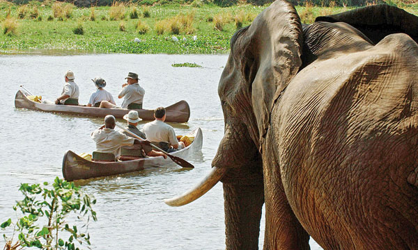 8 Day Zambian Explorer Safari