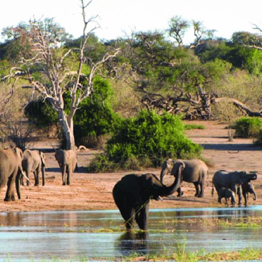 8 Nights Victoria Falls, Chobe, Okavango & Central Kalahari