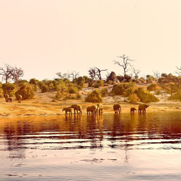 8 Nights Victoria Falls, Chobe, Okavango & Central Kalahari