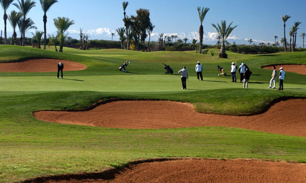 9 Day Golf Safari