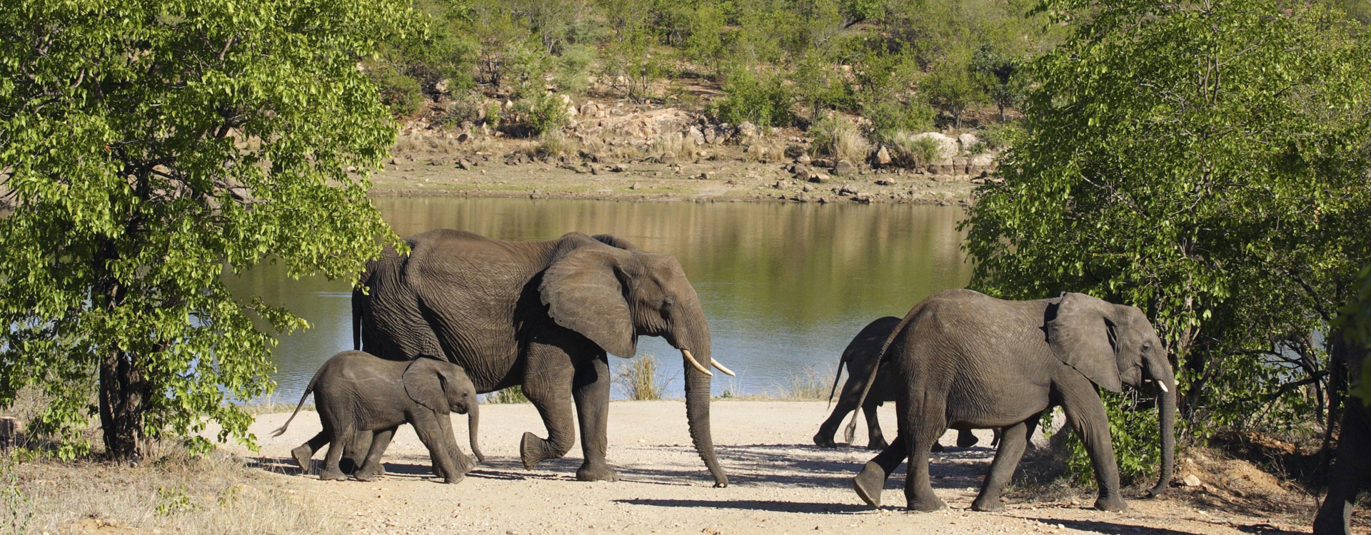 9 Day Limpompo Valley Safaris Big 5 Safari