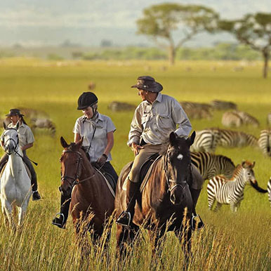 9 Day Limpompo Valley Safaris Big 5 Safari