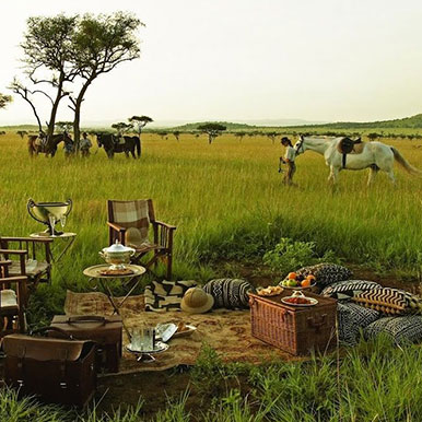 9 Day Limpompo Valley Safaris Big 5 Safari