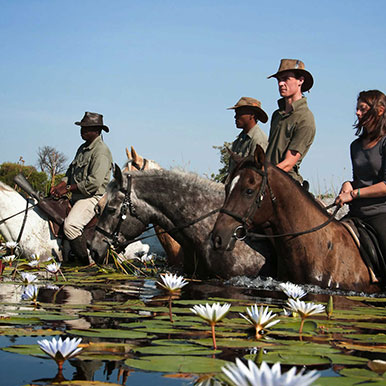 9 Day Limpompo Valley Safaris Big 5 Safari