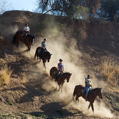 9 Day Limpompo Valley Safaris Big 5 Safari