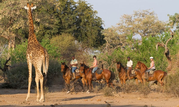 9 Day Limpompo Valley Safaris Big 5 Safari