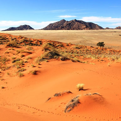 10 Day Namibia Highlights Safari