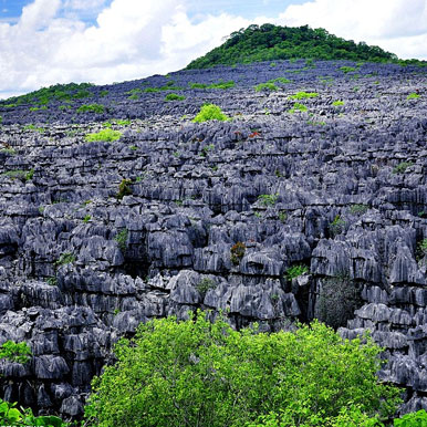 9 Day Northen Madagascar Tour