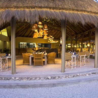 9 Day Wildlife Safari Standard
