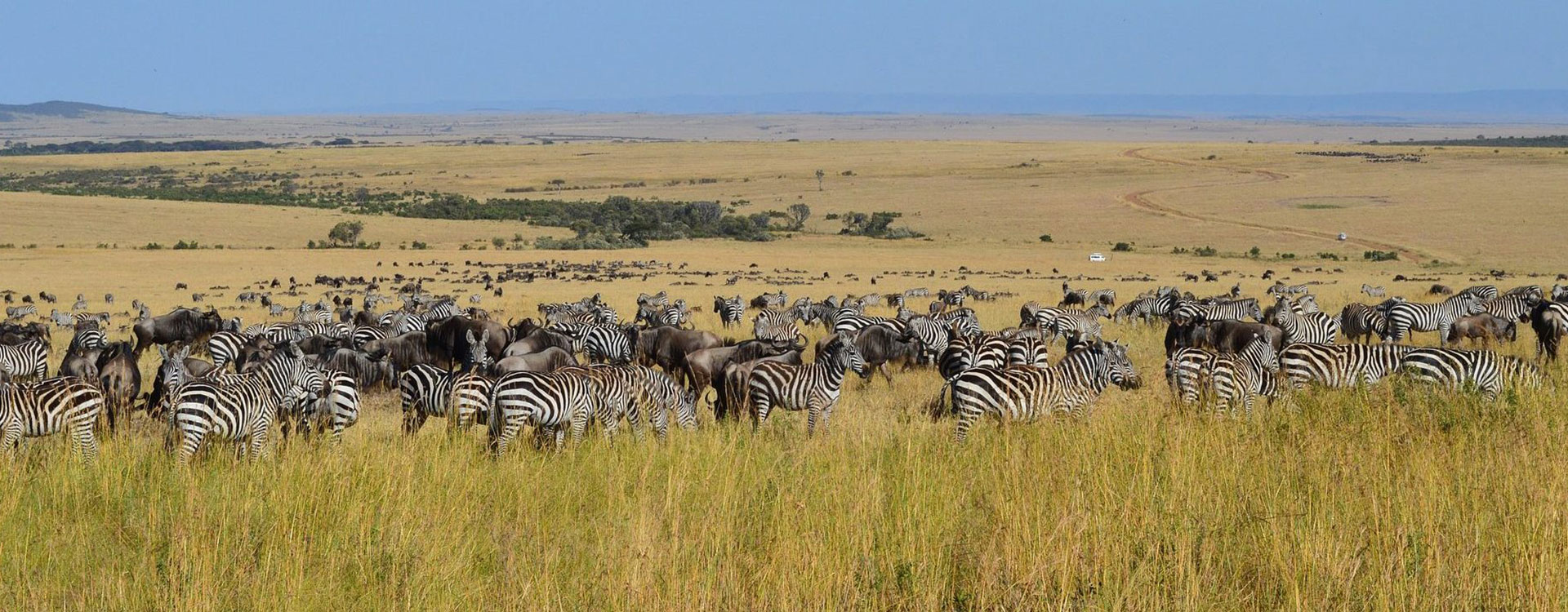 9 Days Bush and Beach Safari
