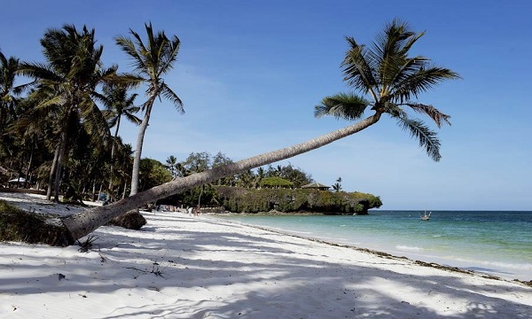 9 Day Bush and Beach Safari