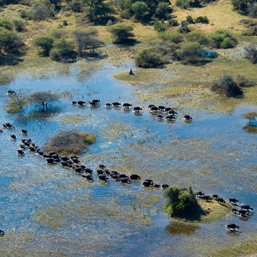 9 Days Elephant Encounters Safari