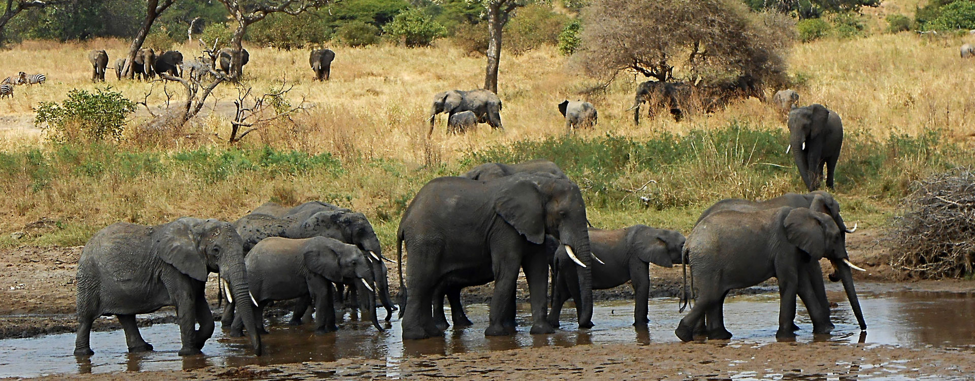 9 Days Highlights of Tanzania Tour