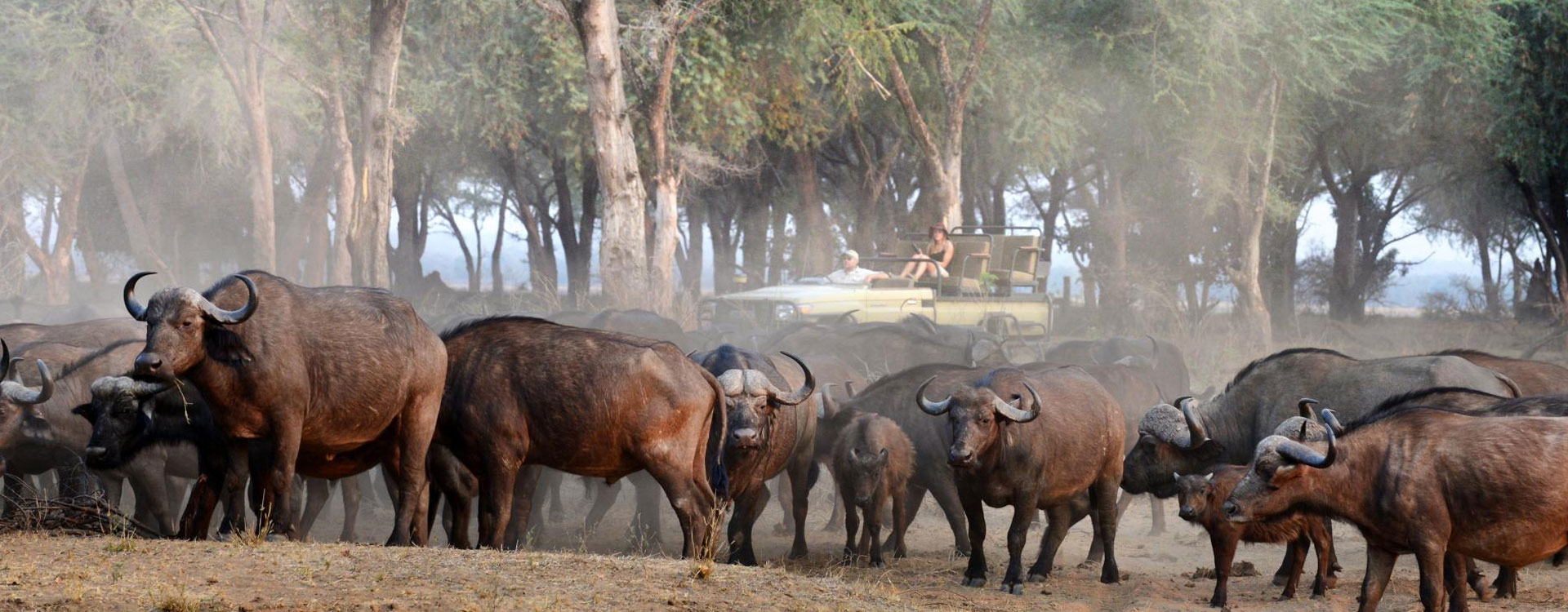 9 Days Highlights Of Zambia Safari Tour