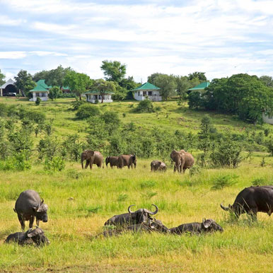 9 Days Highlights Of Zambia Safari Tour