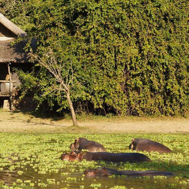 8 Days Wildlife on your Doorstep Safari