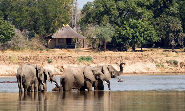 9 Day Iconic South Luangwa Safari