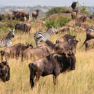 7 Days Kenya Discover Trail