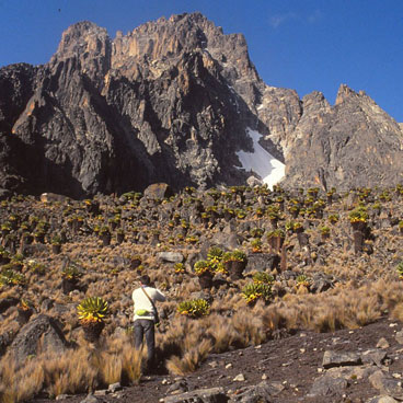 9 Days Kenya Luxury in The Bush